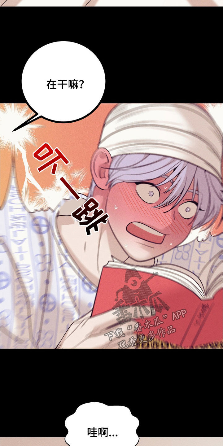 第185章：【番外】漫画书12
