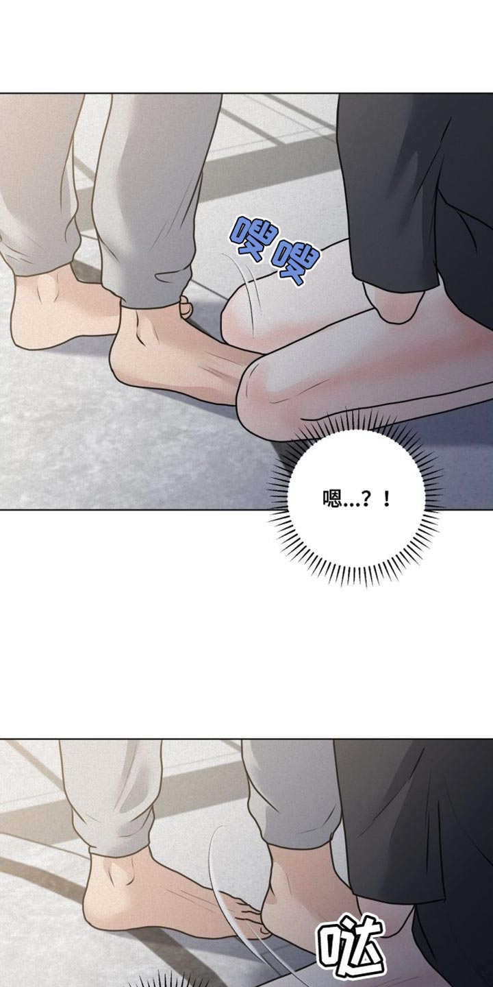 第45章：必须遵守的秩序15