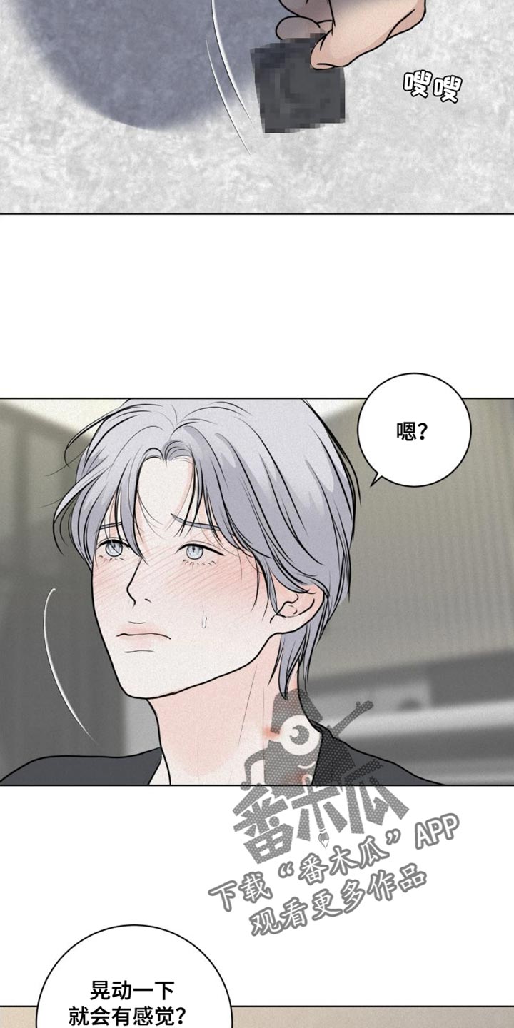 第45章：必须遵守的秩序8