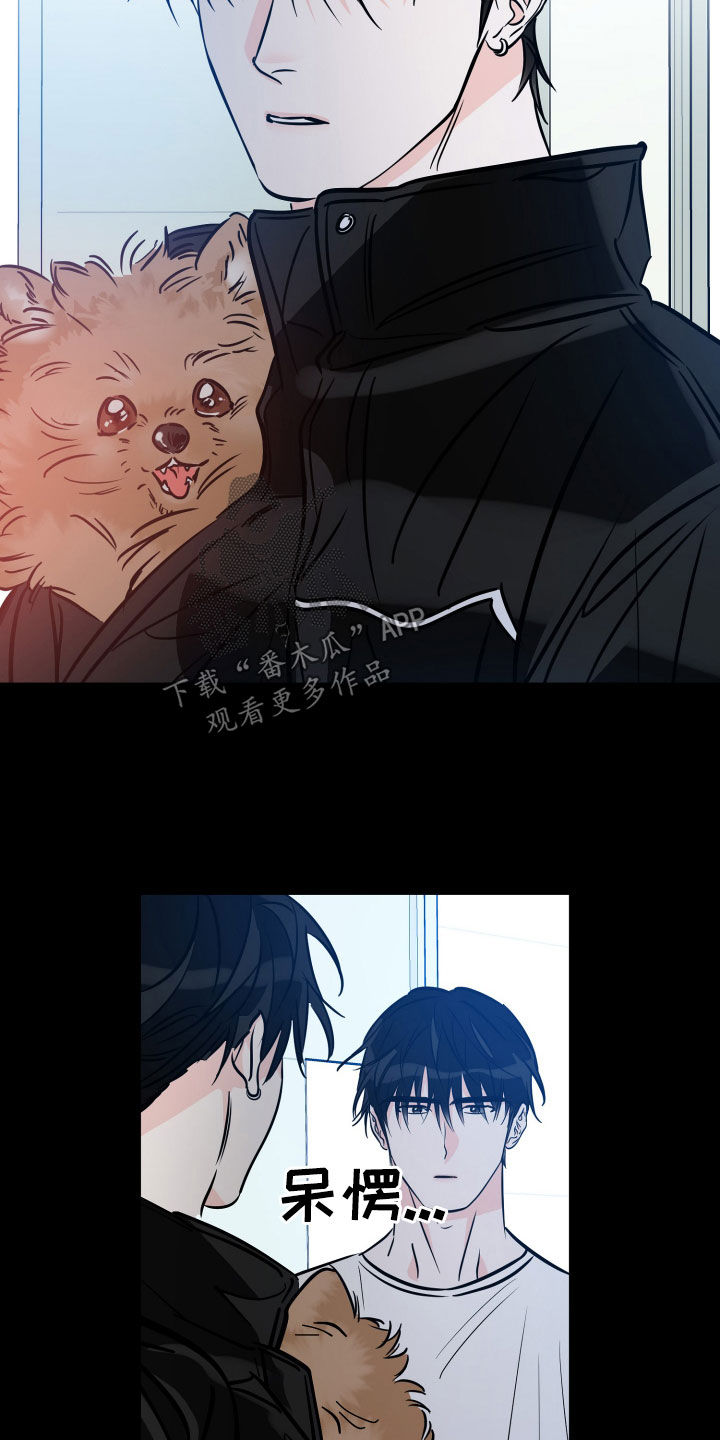 第204话19