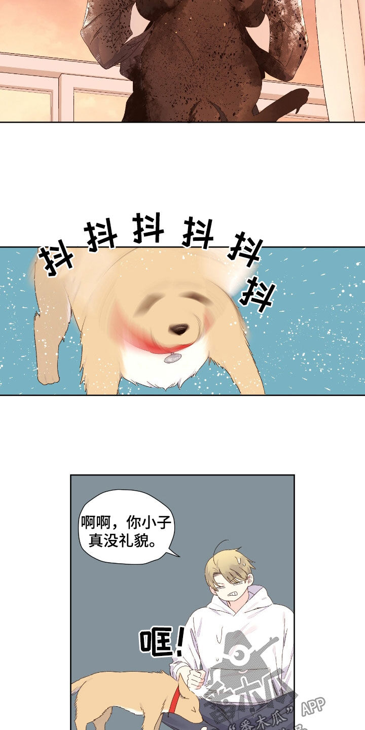 第211话13