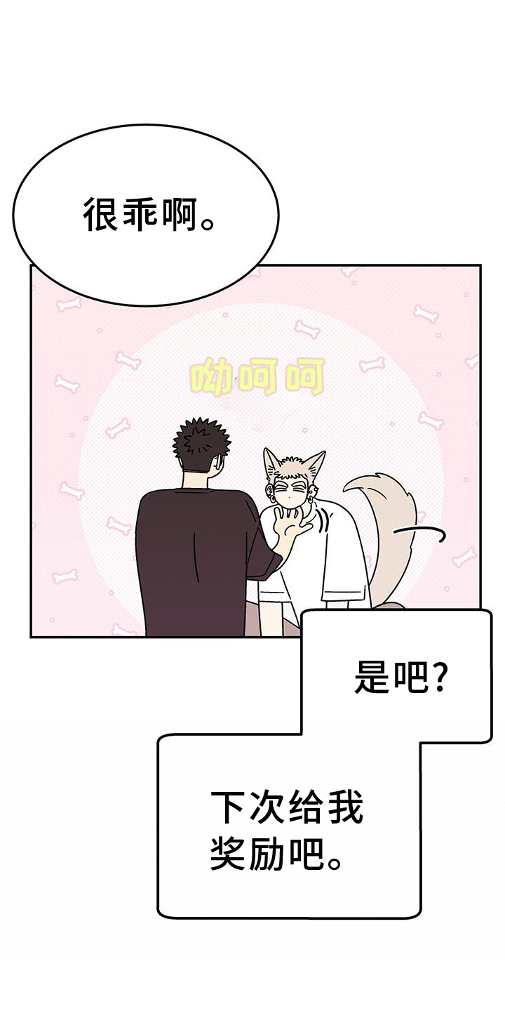 第36章：开心12