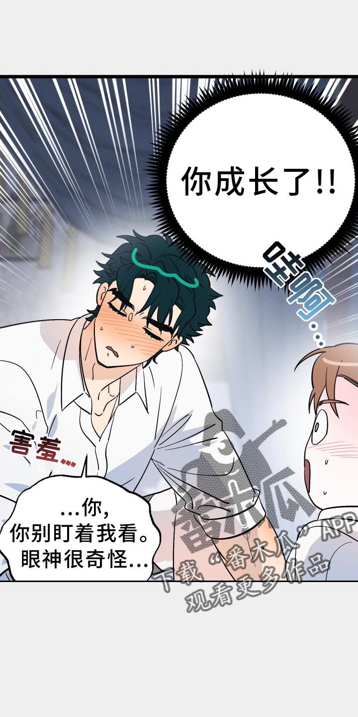第51章：挺好17