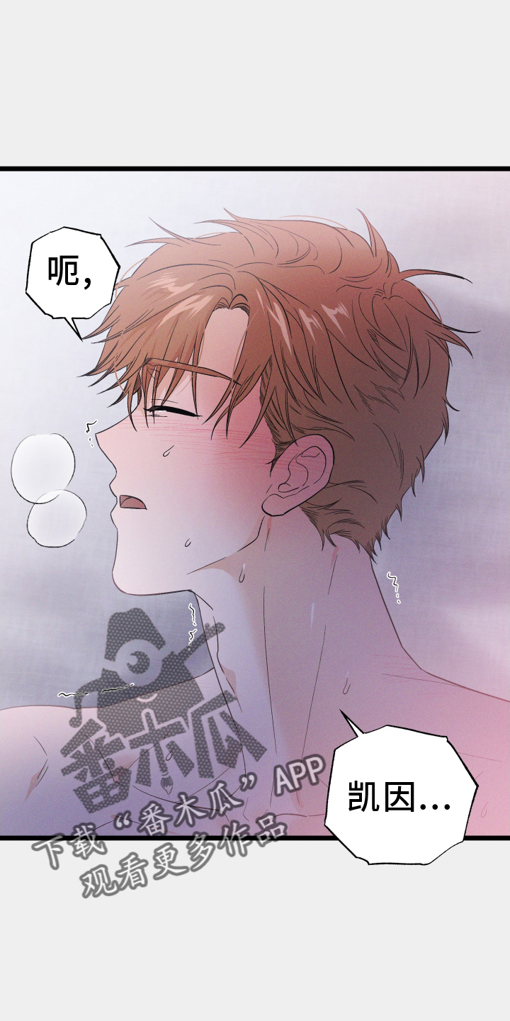 第55章：照片3