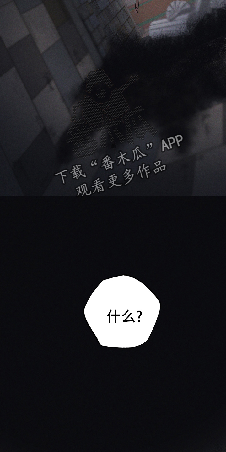 第54章：神秘壁炉17
