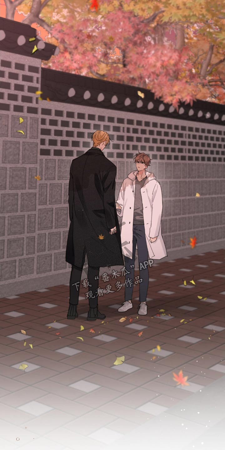 第202话1