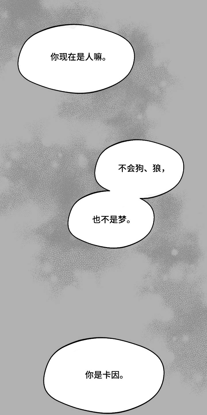 第202话5