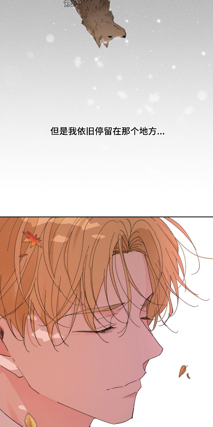 第202话17