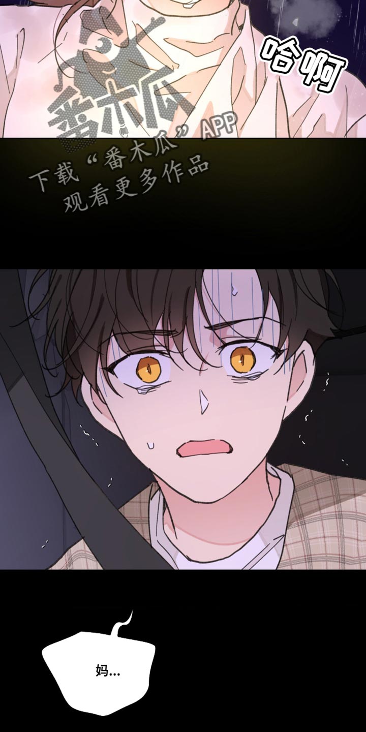 第156章：【番外】惊喜24