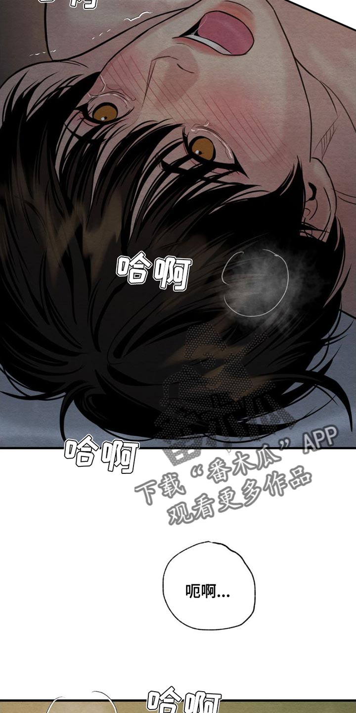 第227章：【第四季】真是不会捉弄人4