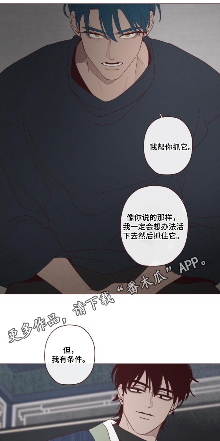 第181章：选择17