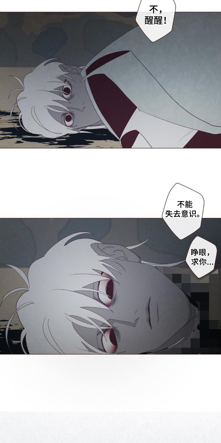 第178章：击杀19