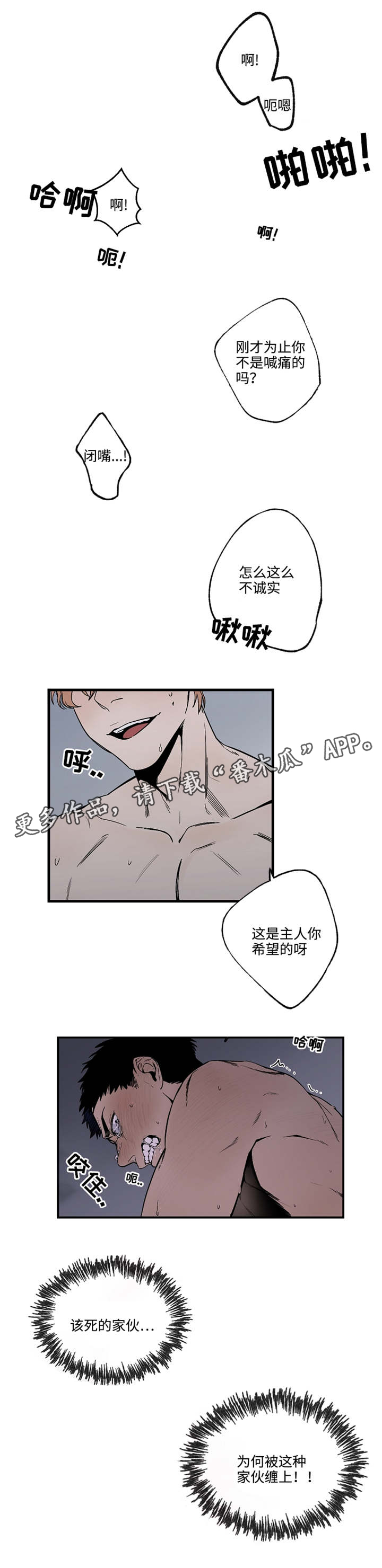第17章：我倒是挺好的0