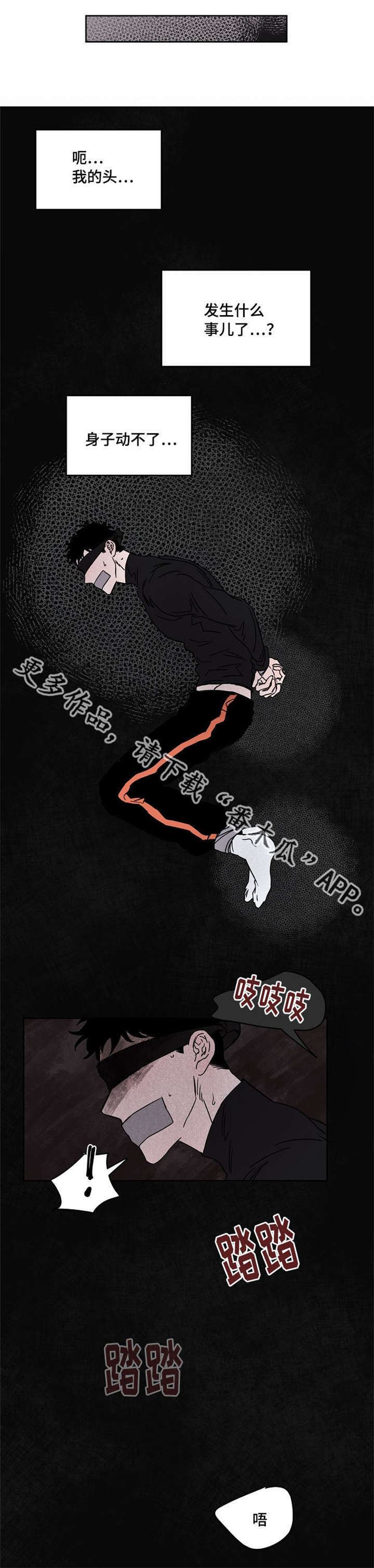 第56章：一周都在这3