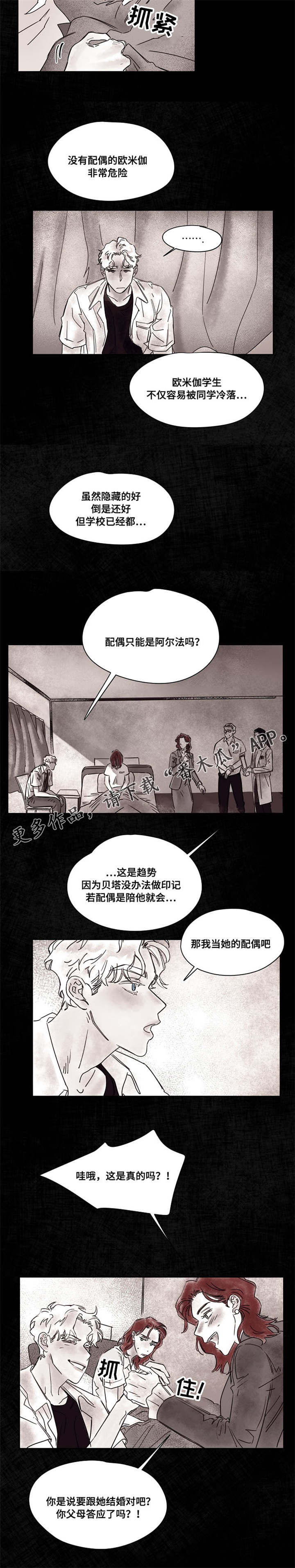 第43章：订婚4