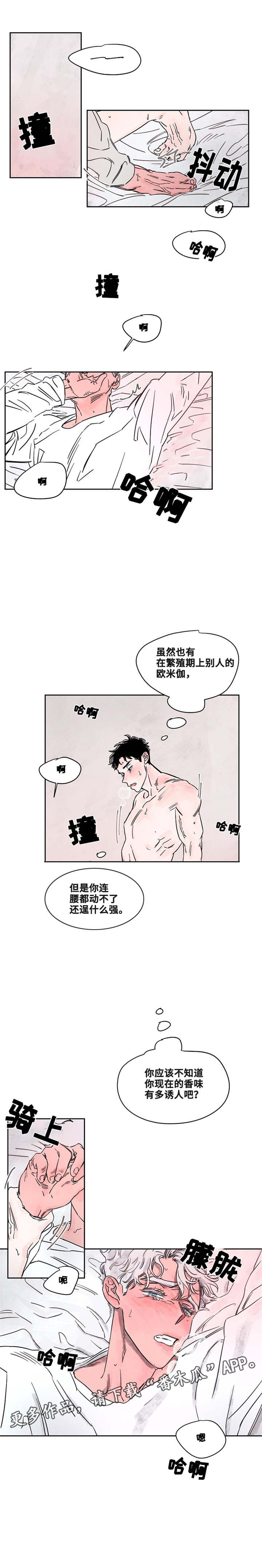 第46章：才知道5