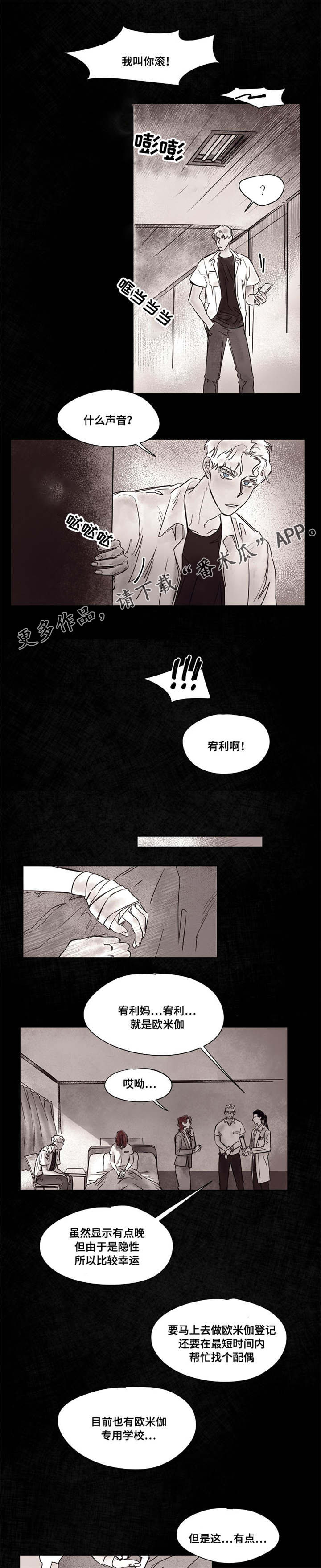 第43章：订婚3
