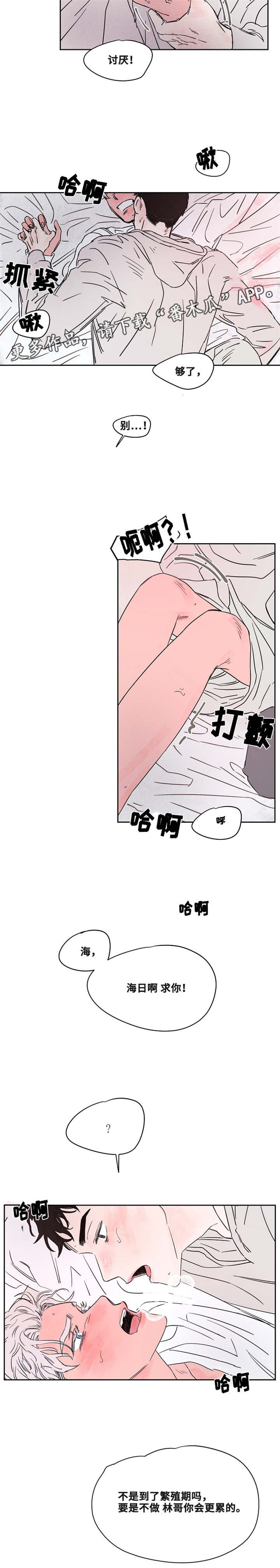 第46章：才知道1
