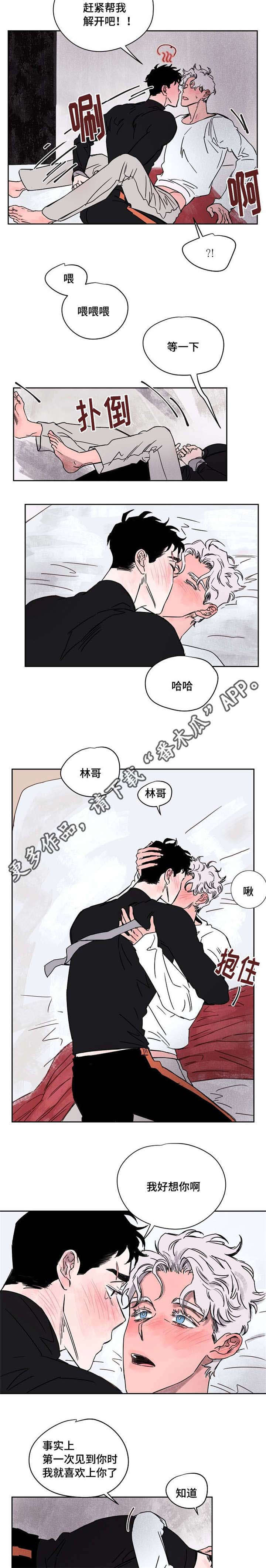 第57章：喜欢你1