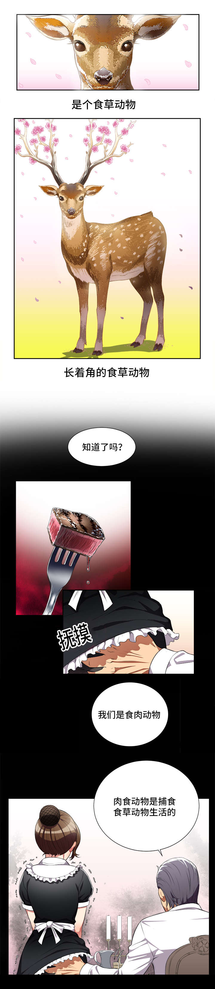 第50章：食草与食肉动物2