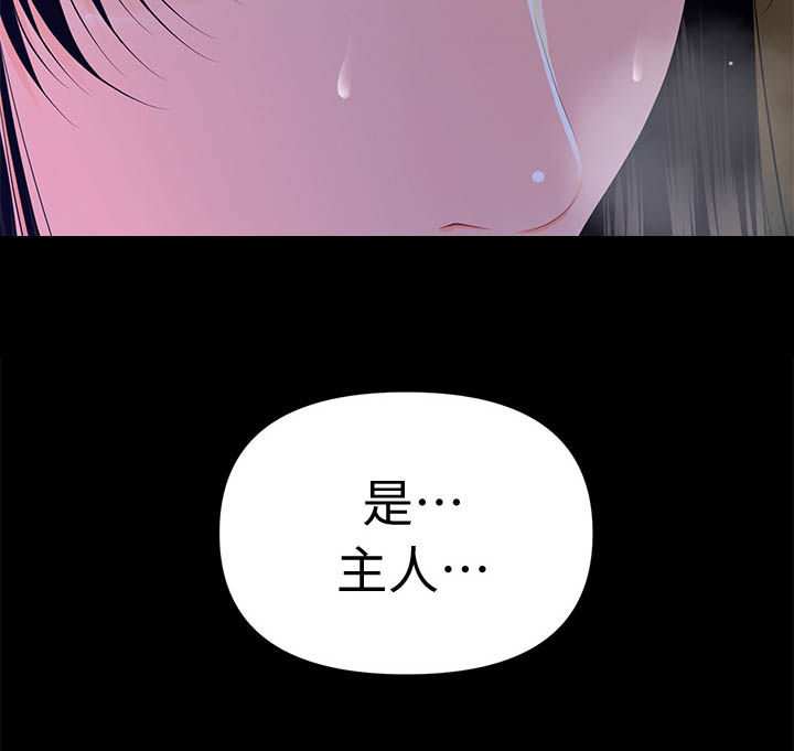 第30章：品质9