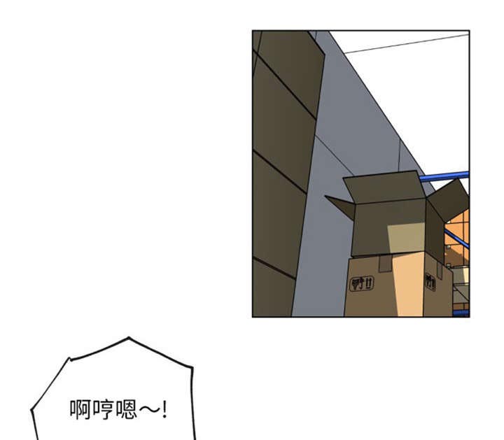 第37章：确认0