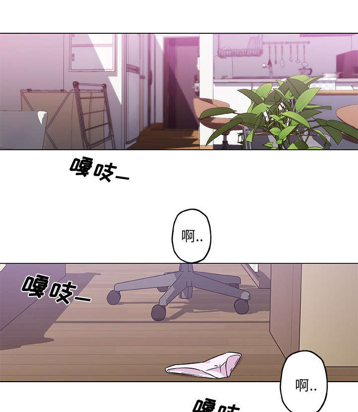 第20章：直播0