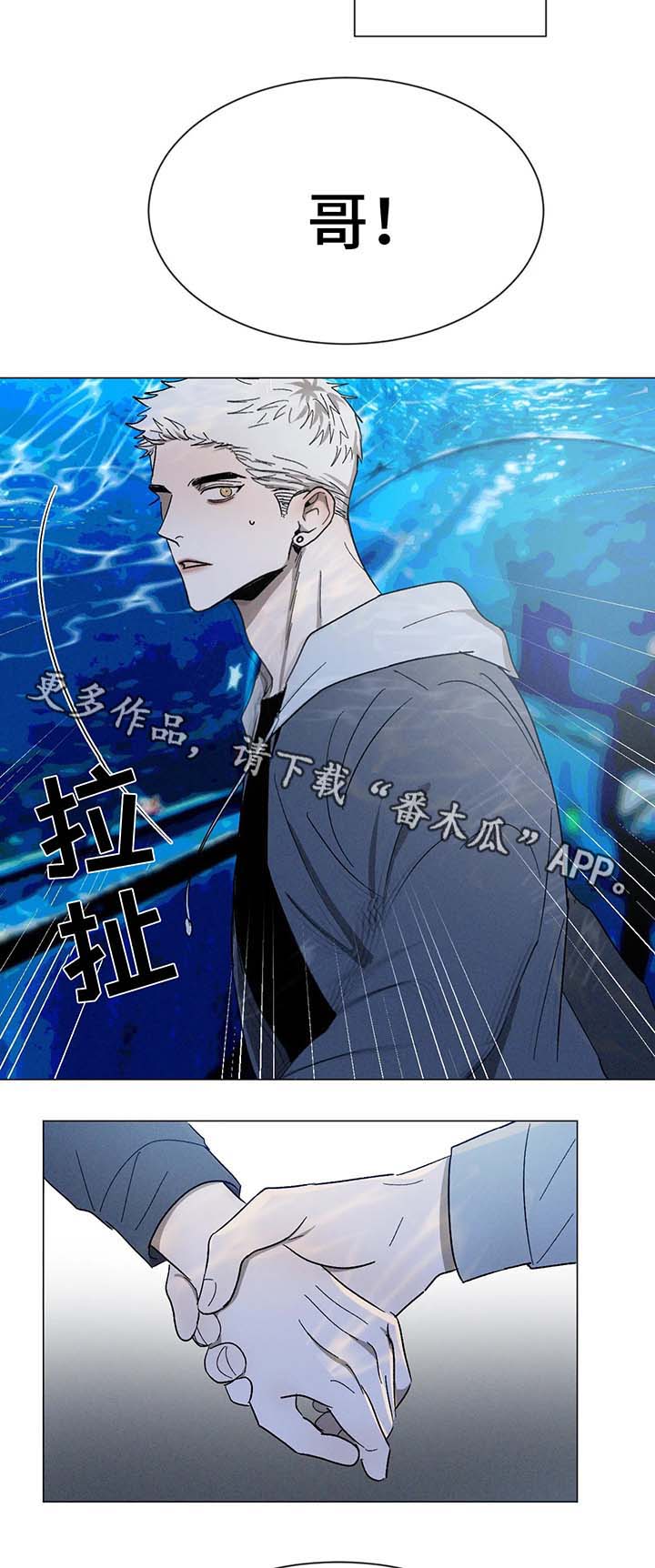 第60章：选择4