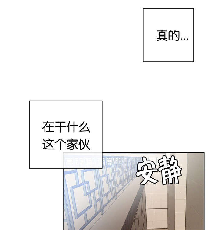 第28章：抽烟9