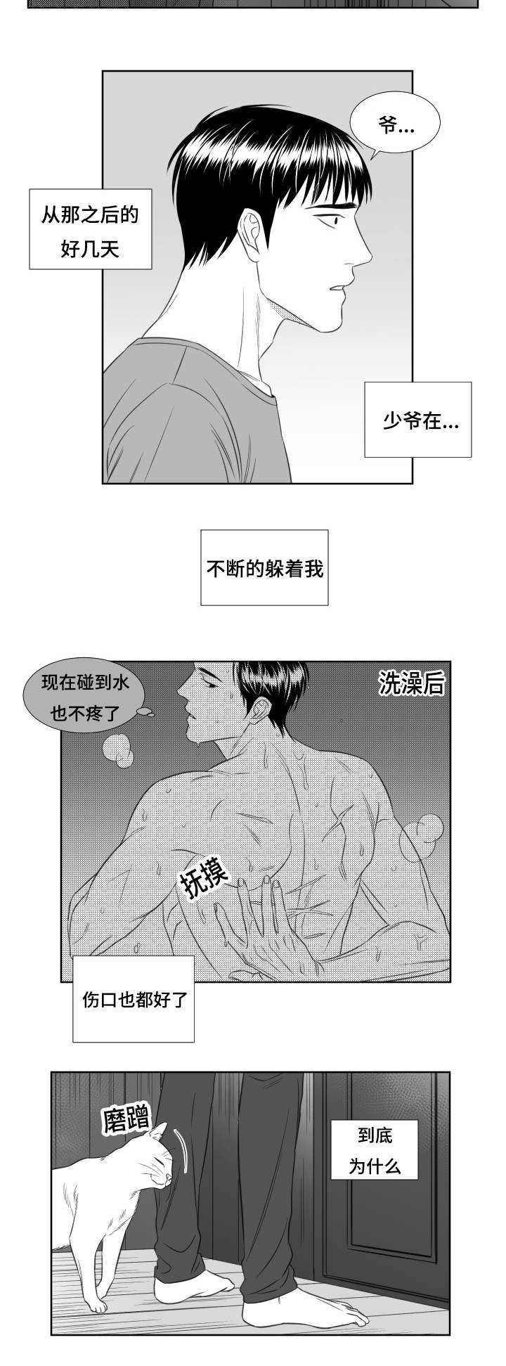 第66章：我爱你5