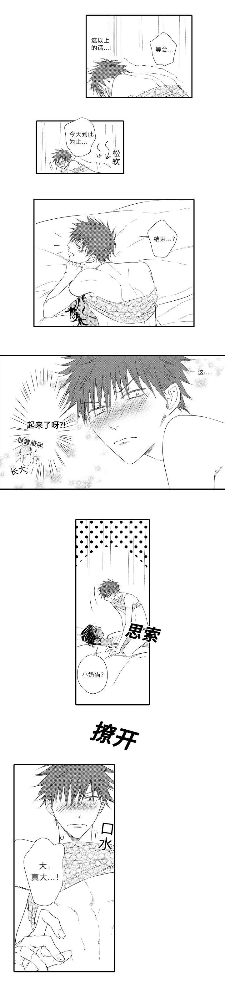 第15章：哥哥回来了3
