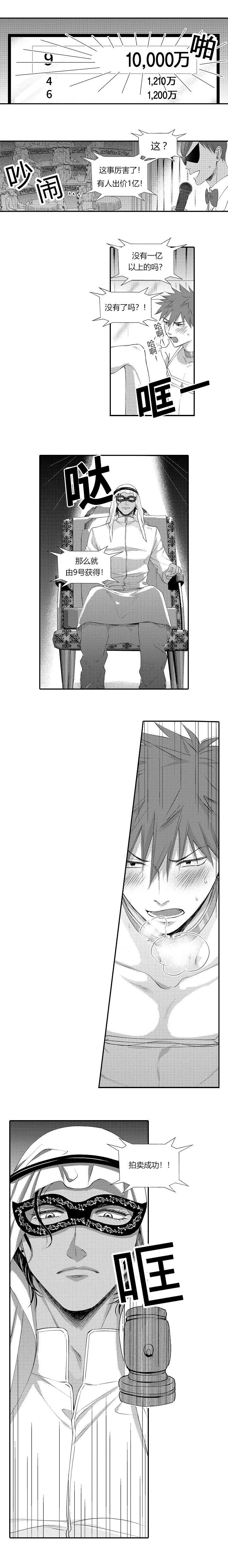 第2章：被拍卖了2
