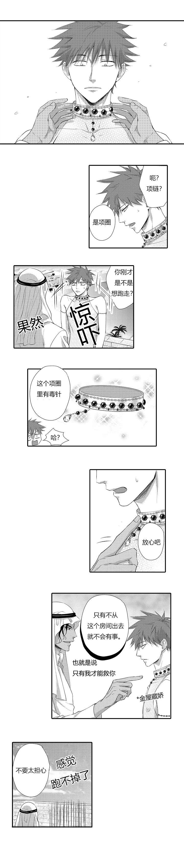 第3章：做我的爱妾4