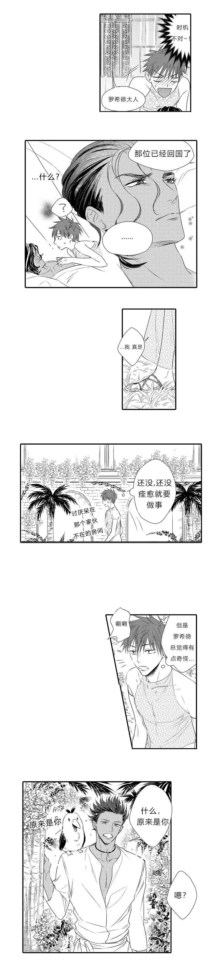 第16章：表白心迹4