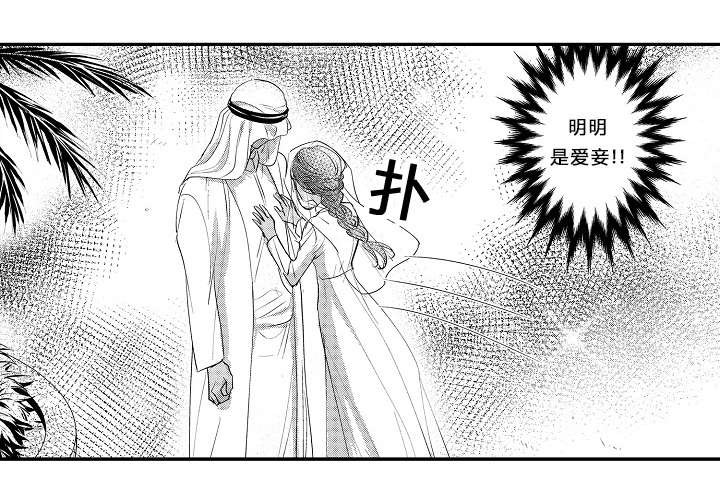 第10章：别的爱妾5