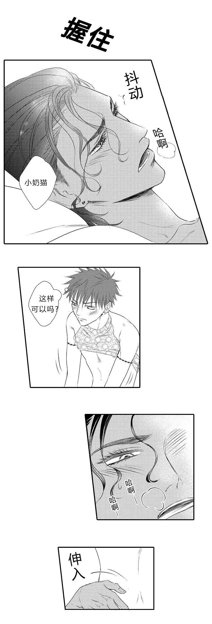 第15章：哥哥回来了4