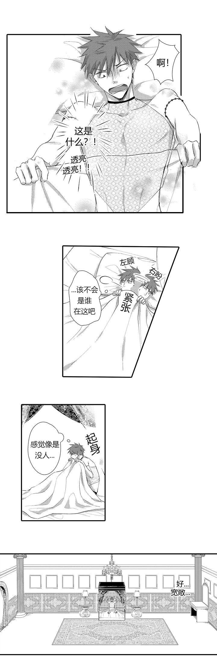 第2章：被拍卖了4