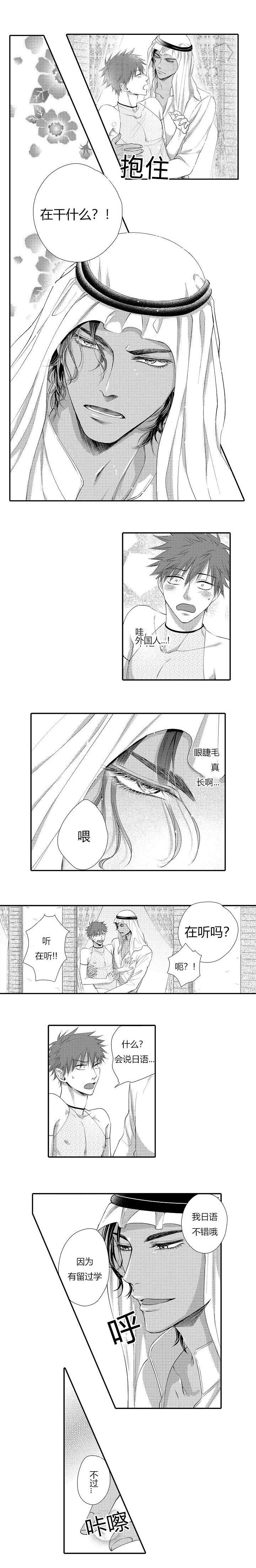 第3章：做我的爱妾3