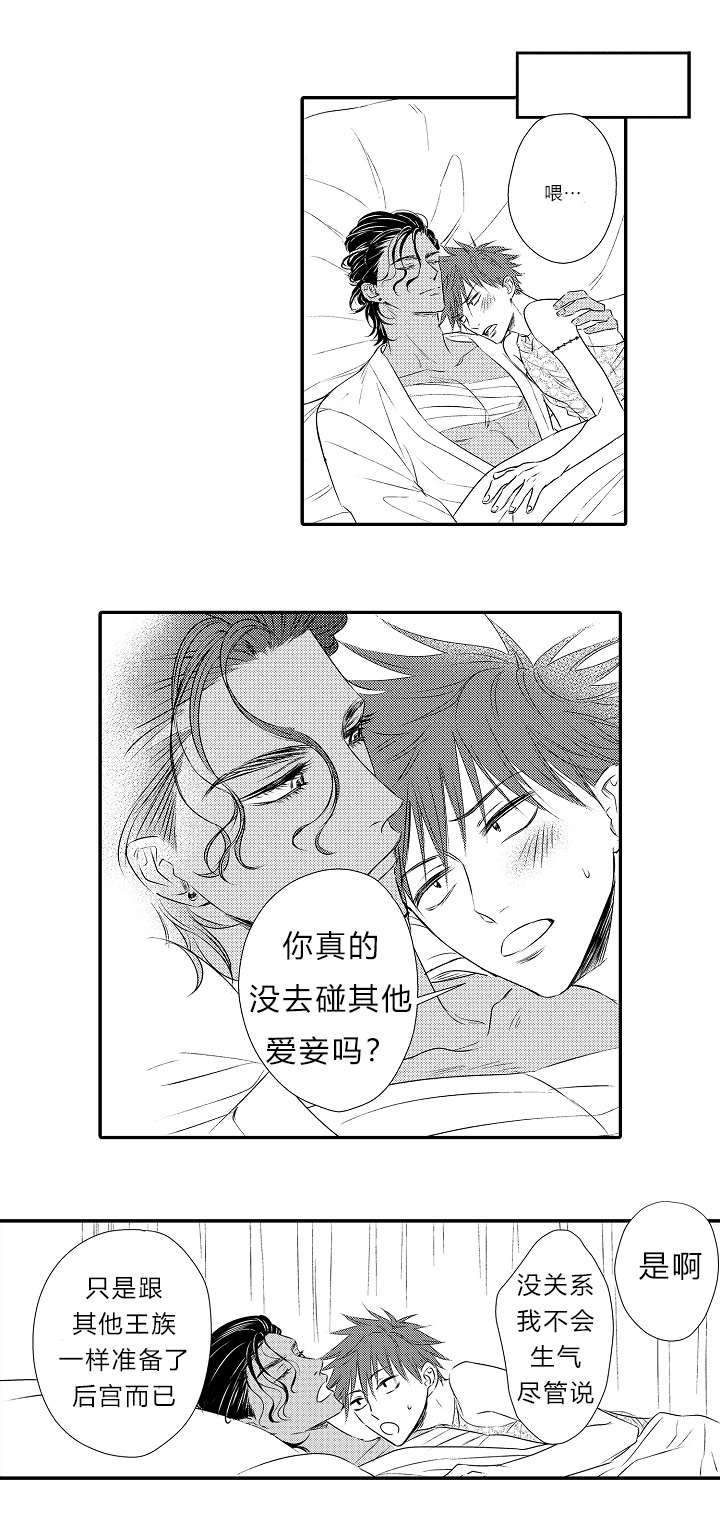 第16章：表白心迹0