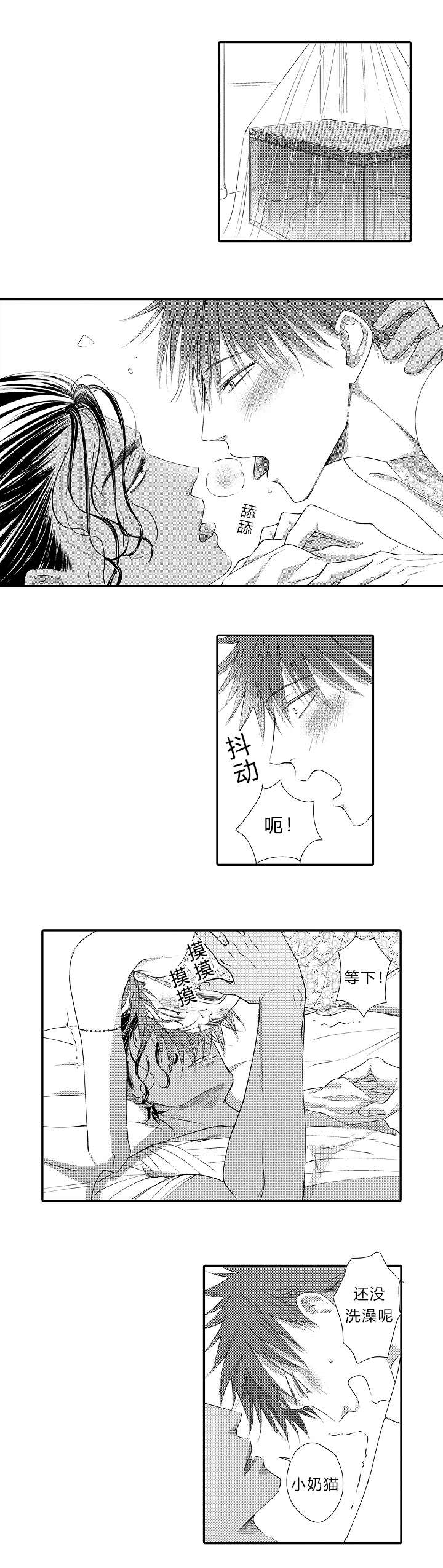 第15章：哥哥回来了1