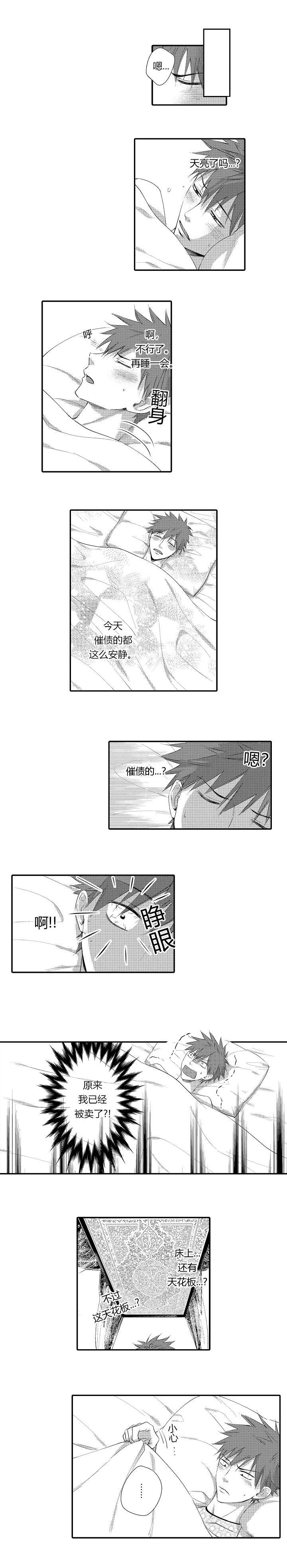 第2章：被拍卖了3