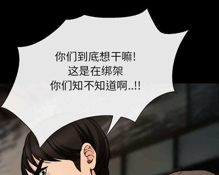 第56章：绑架成源28