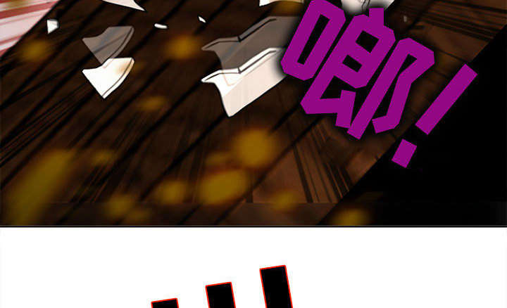 第55章：相见61