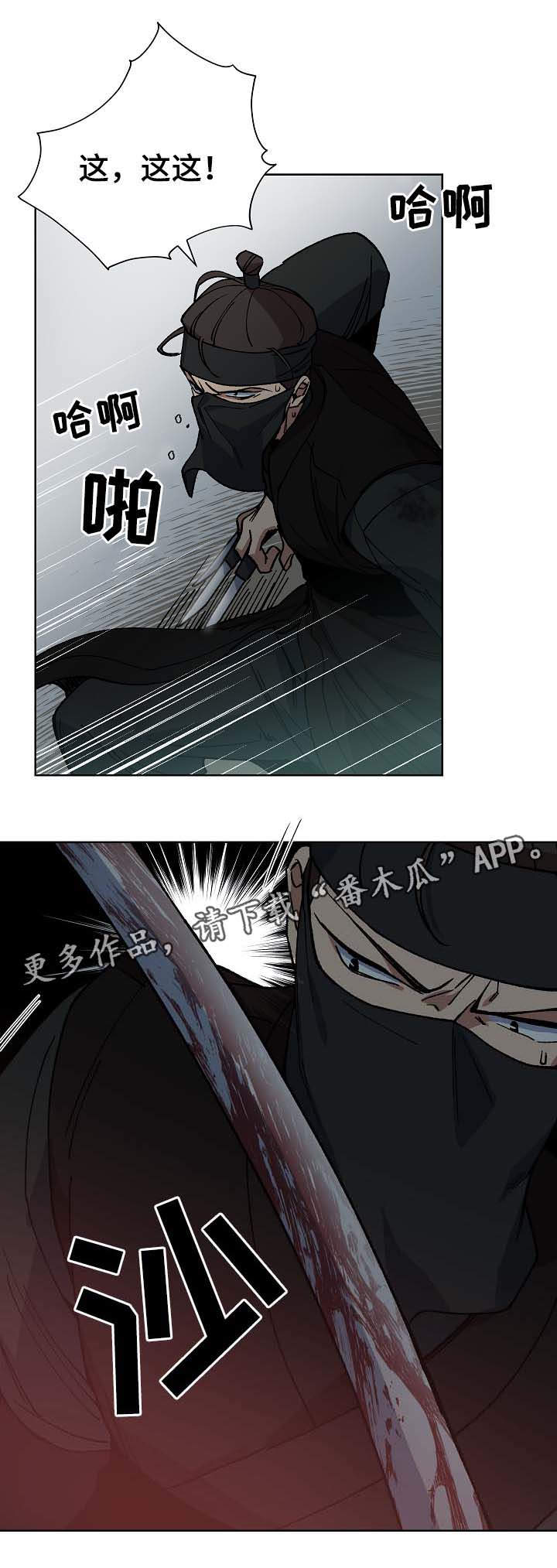第71章：刺客14