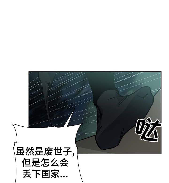 第71章：刺客17