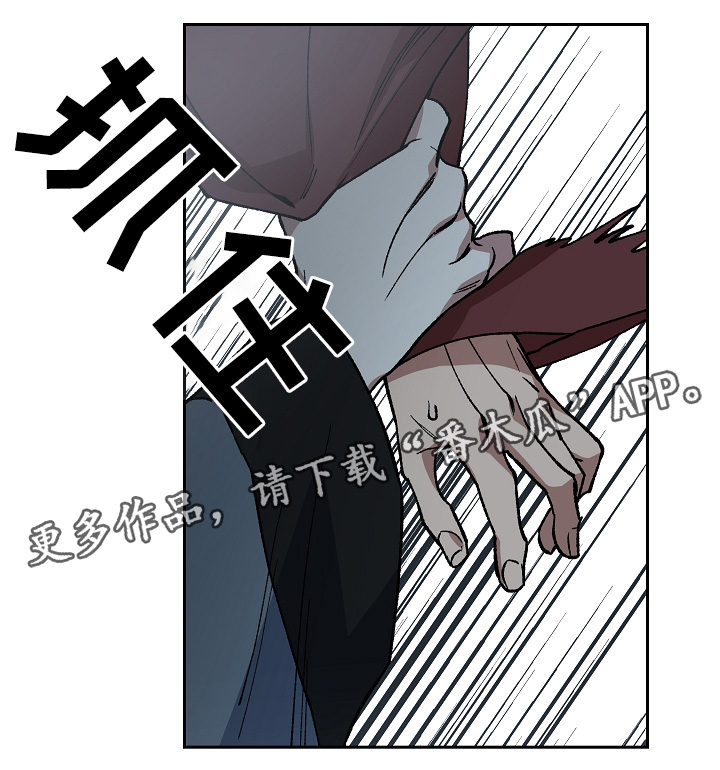 第121章：手足之情1