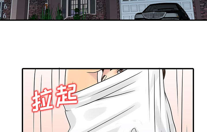第38章：暗箱操作29