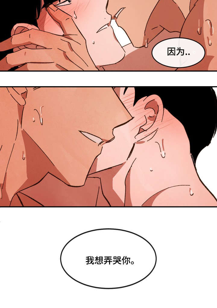 第32章：我想弄哭你14