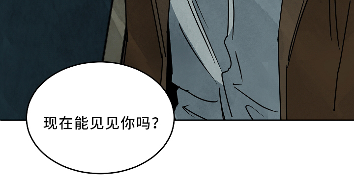 第73章：可以见见你吗?10