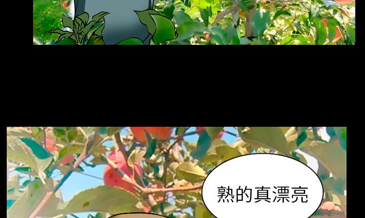 第48章：都准备好了34